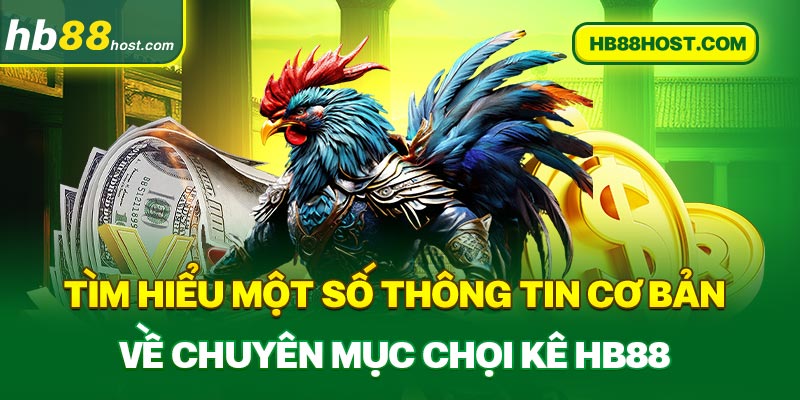 Tìm hiểu một số thông tin cơ bản về chuyên mục chọi kê HB88